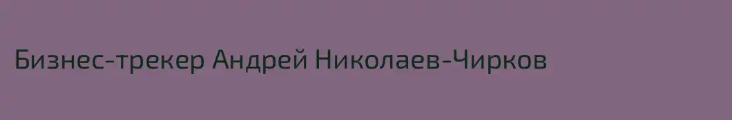 Бизнес-трекер Андрей Николаев-Чирков